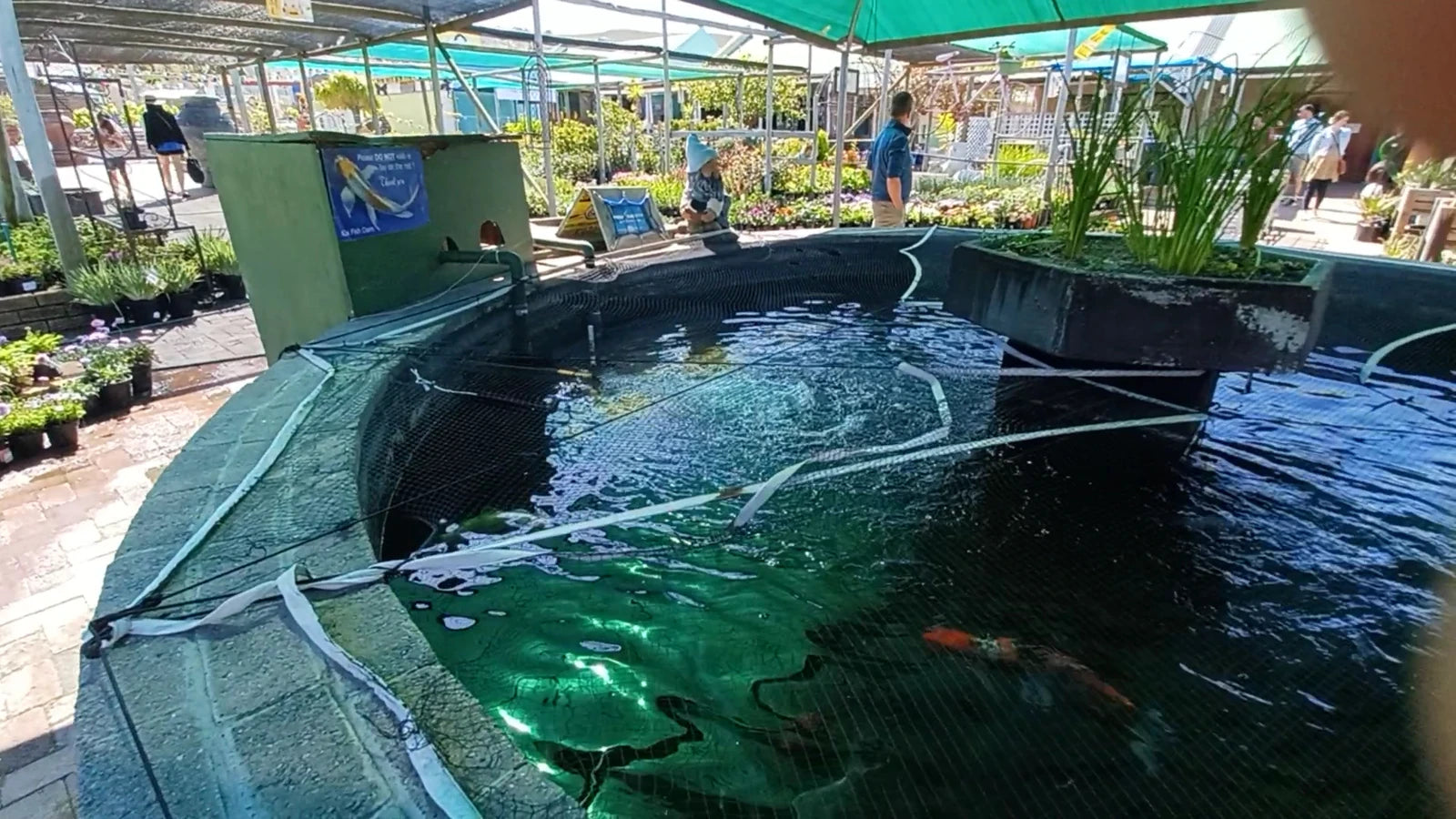 Wonderland Nursery, Coffee shop & Playpark, Hermanus South Africa