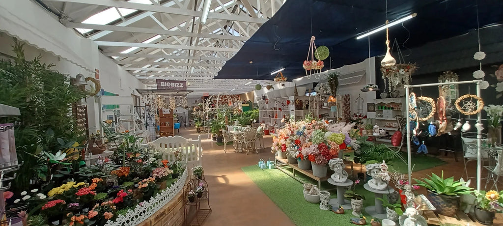 Wonderland Nursery, Coffee shop & Playpark, Hermanus South Africa