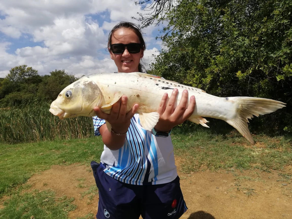 Wonderland45, Pretoria South Africa