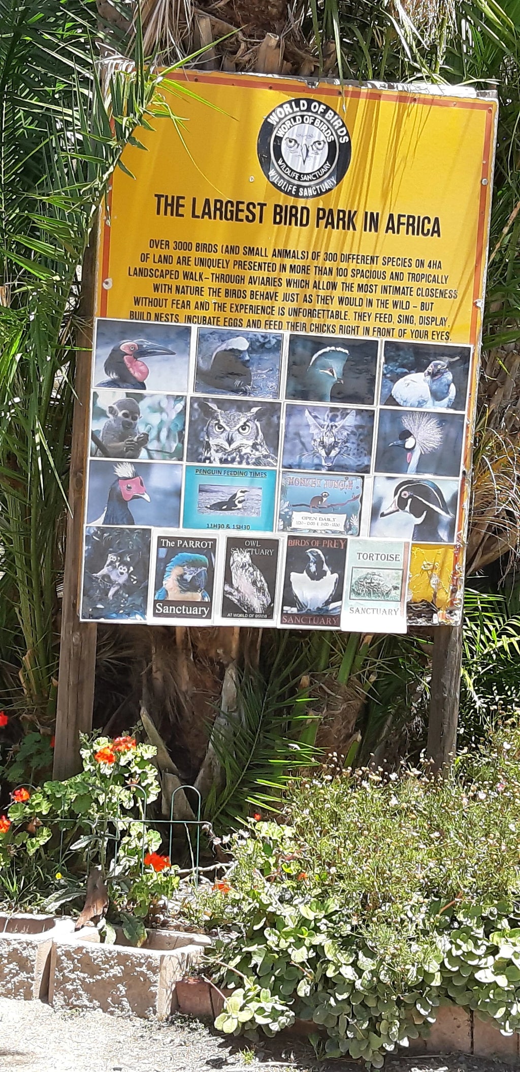 World of Birds Wildlife Sanctuary & Monkey Park, Cape Town South Africa