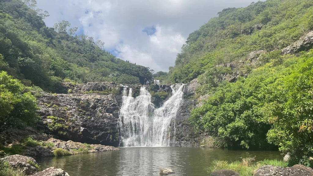 Yanature, Black River Mauritius