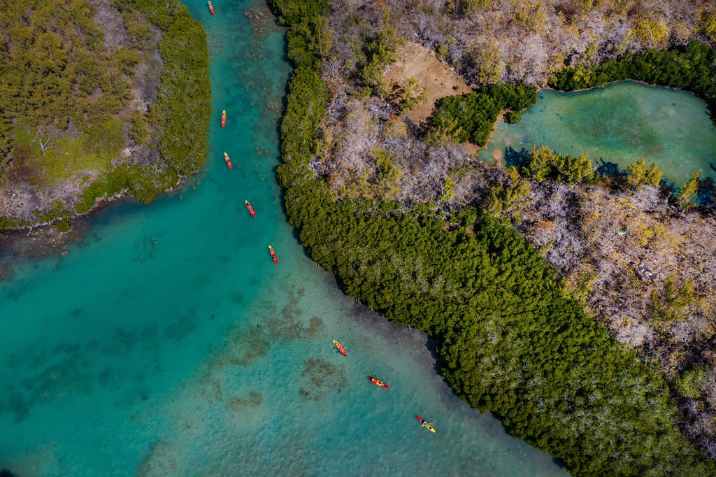 Yanature, Black River Mauritius