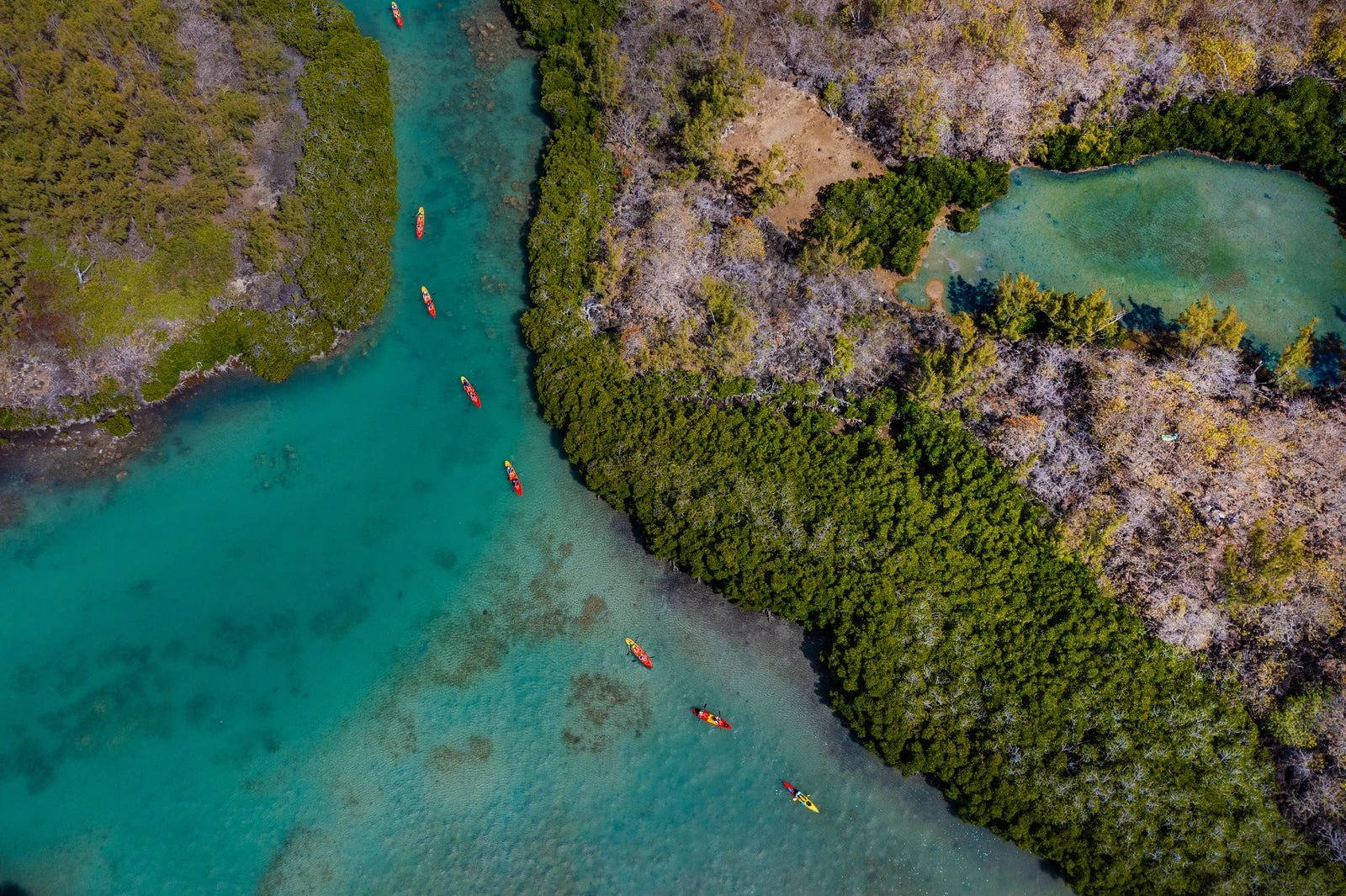 Yanature, Black River Mauritius