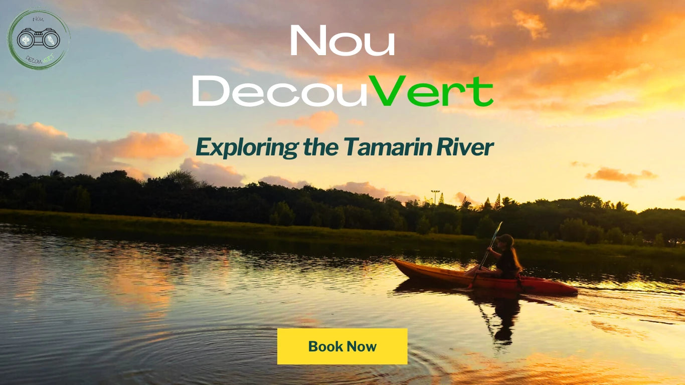 Yanature, Black River Mauritius