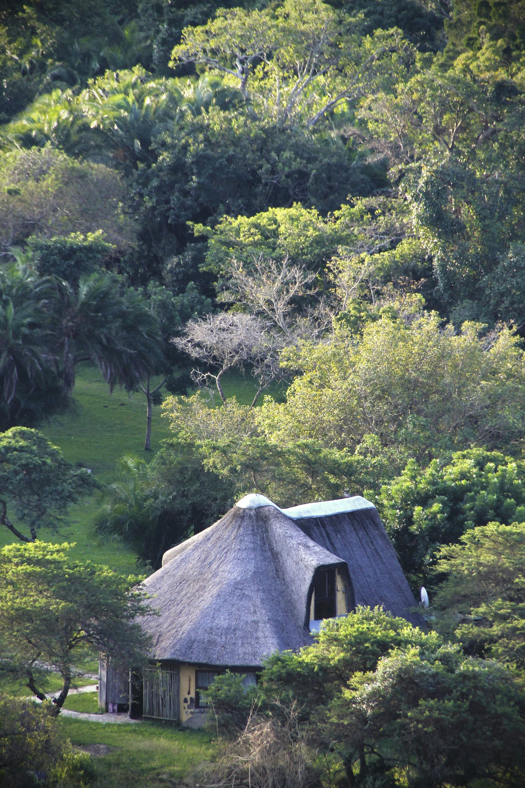Yellowwood Forest Morgan Bay. Camping & Accommodation, Gxarha South Africa