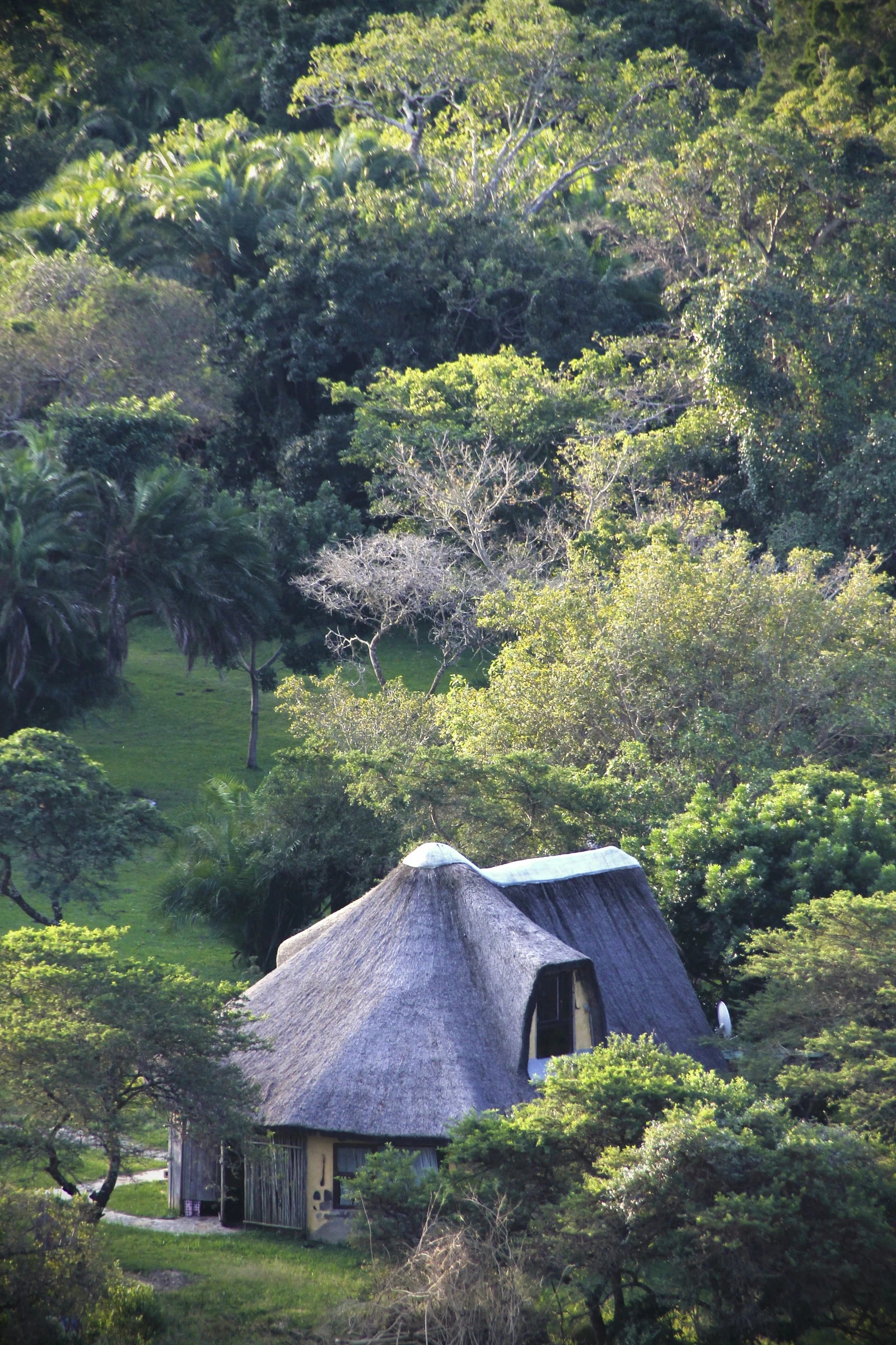 Yellowwood Forest Morgan Bay. Camping & Accommodation, Gxarha South Africa