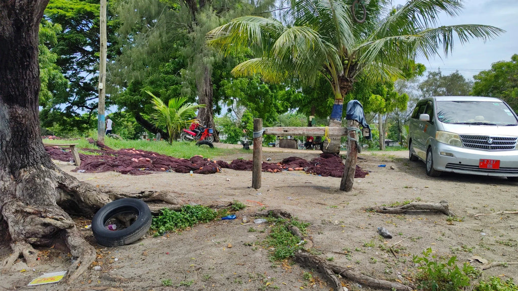 Zanzibar Park, 
Zanzibar Tanzania