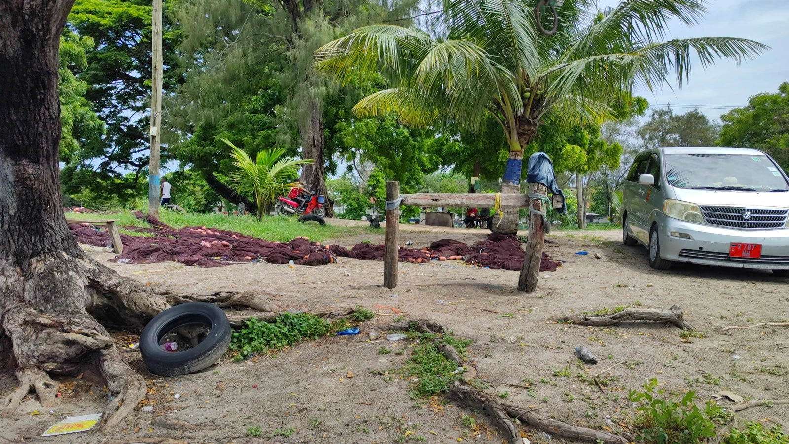 Zanzibar Park, 
Zanzibar Tanzania