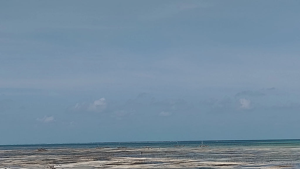 Zanzibar Park, 
Zanzibar Tanzania