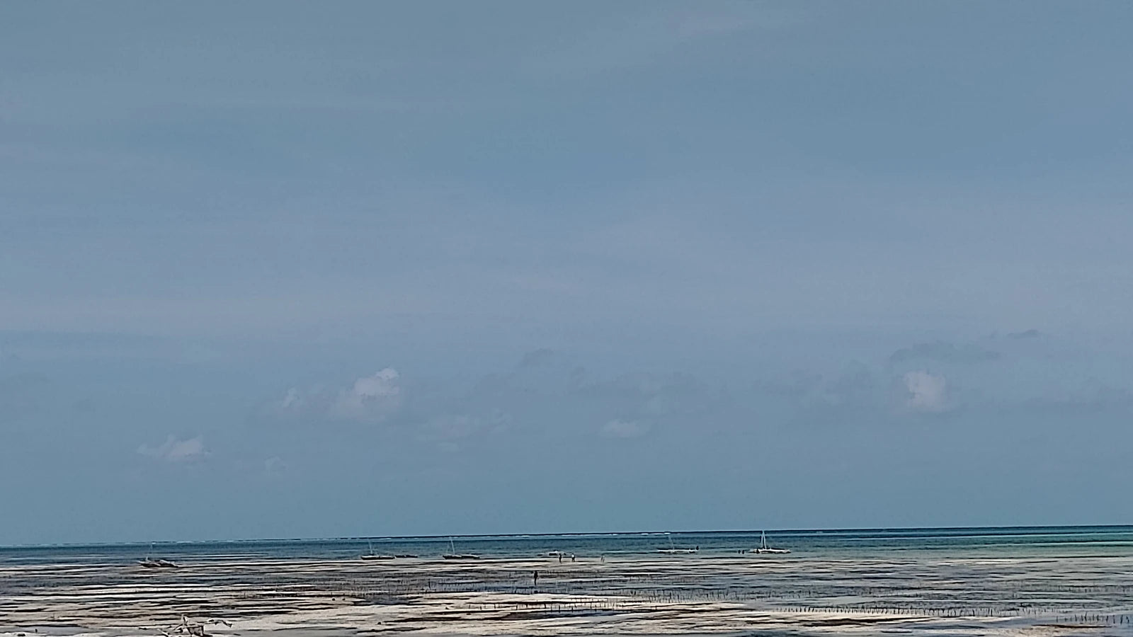 Zanzibar Park, 
Zanzibar Tanzania