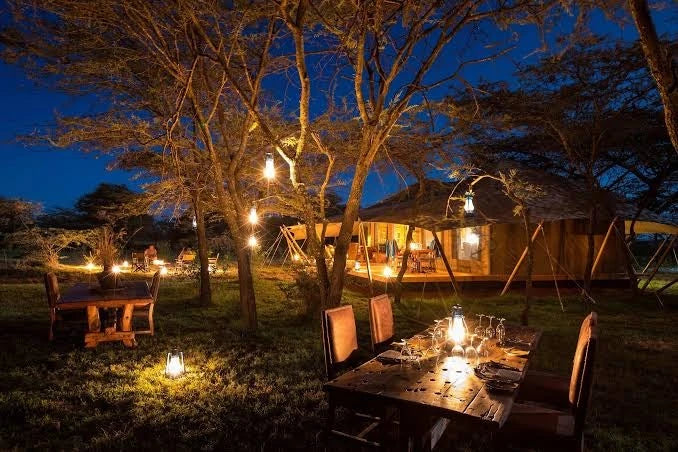 Zebra Plains Mara Camp - Zebra Plains Collection, 
Talek Kenya