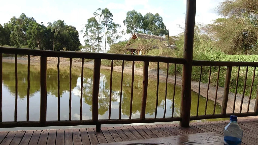 Ziwa Bush Lodge, 
Njoro Kenya