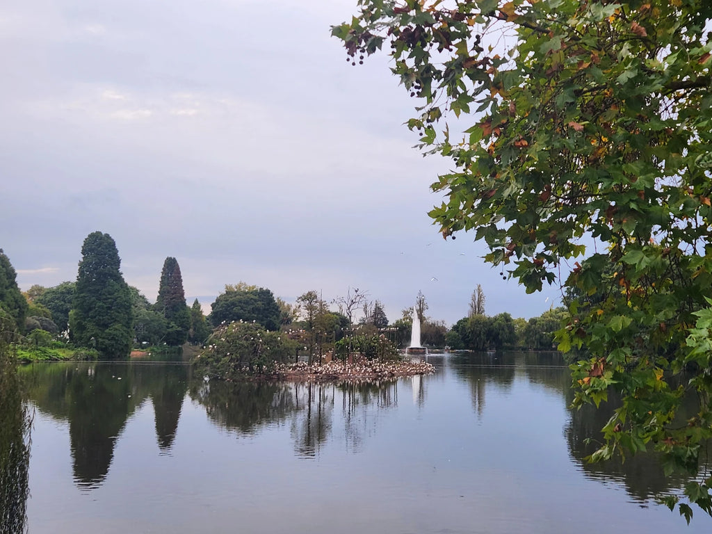 Zoo Lake, Randburg South Africa
