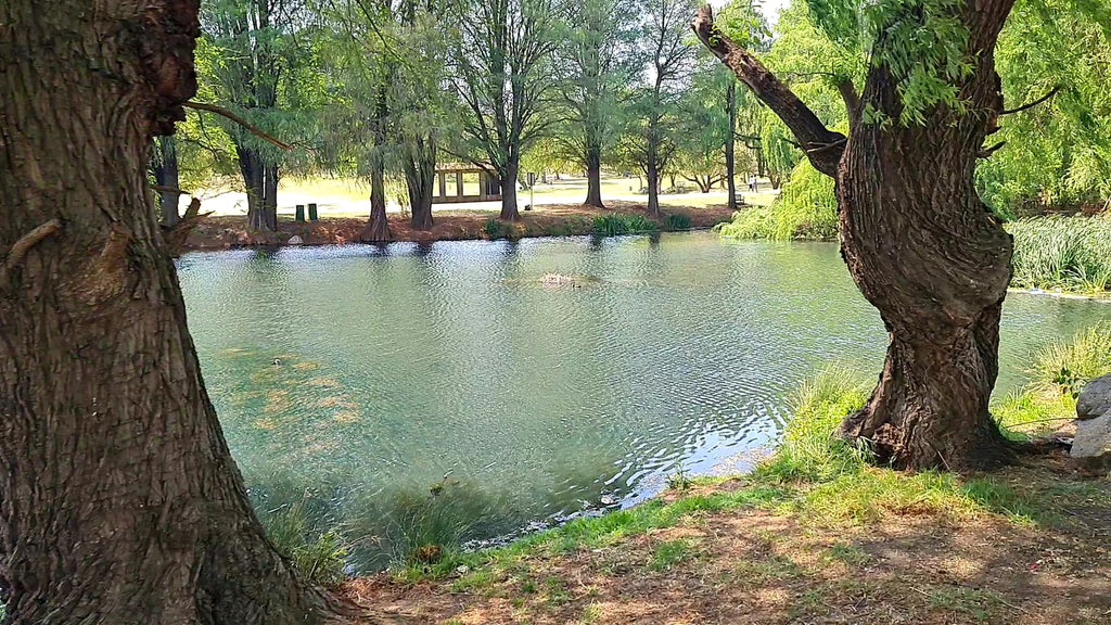 Zoo Lake, Randburg South Africa