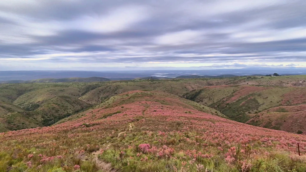 Zuurberg Mountain Village, Addo South Africa